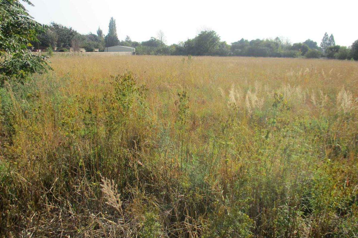 Enjoy the tranquility of Henley - Photo 3