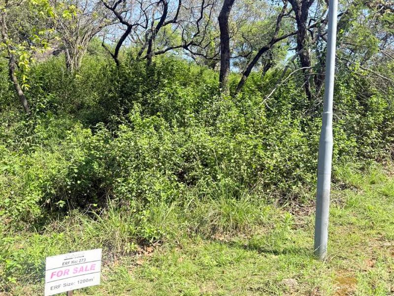 A vacant residential plot featuring mature trees and natural vegetation, ready for development.
