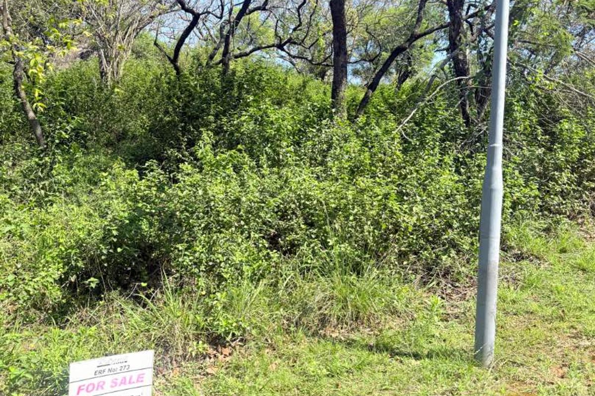 A vacant residential plot featuring mature trees and natural vegetation, ready for development.