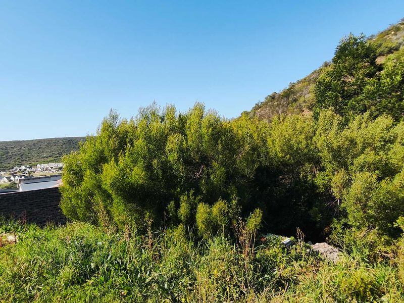 Vacant land for sale in island View - Photo 6