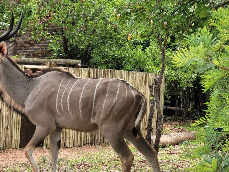 Tranquil Corner Stand - Prime Location - Photo 9