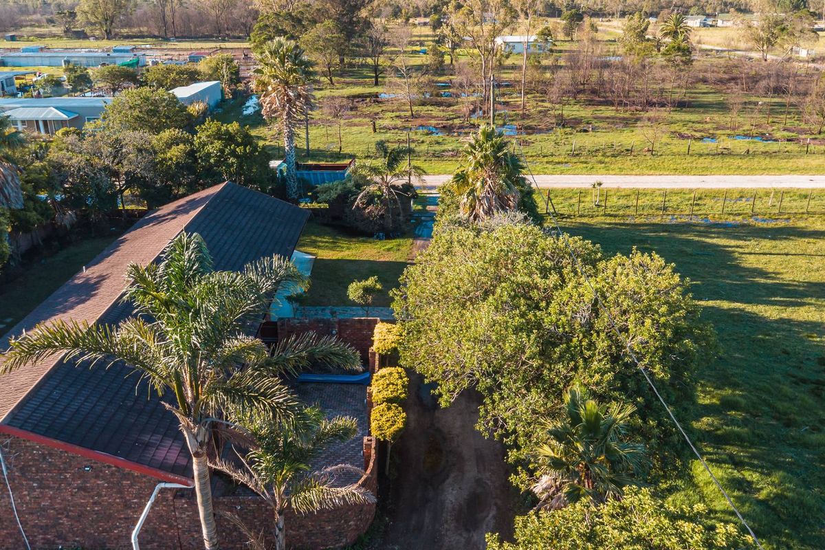Rare Income-Generating Lifestyle Smallholding:2 Homes & Business Potential – Rendallton, Near Gqeberha - Photo 3