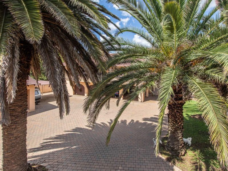 **Exceptional Property with Endless Potential in Muldersdrift** - Photo 9