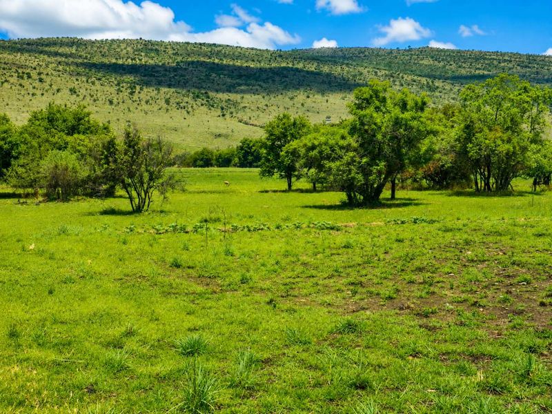 A scenic view of the farm's expansive green pasture and natural landscape, featuring mature trees and rolling hills in the background.