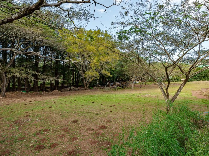 The Perfect piece of land - Photo 6