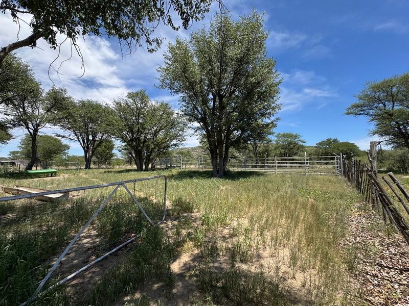 An outdoor farm area featuring metal livestock fencing, a gate, and a water trough set within a natural landscape with mature trees.