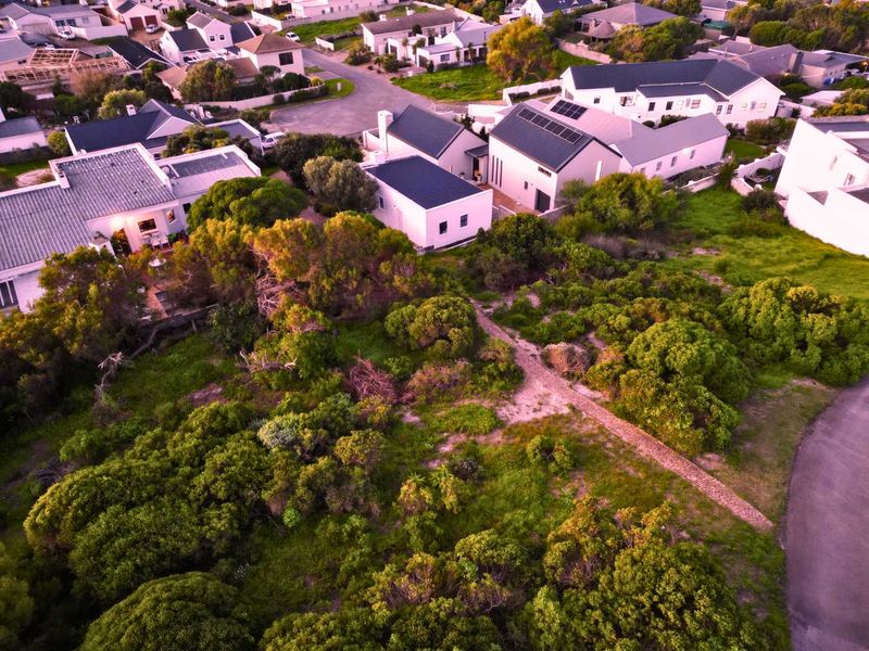 Where Fynbos, Mountain and Sea Write the Story! - Photo 3