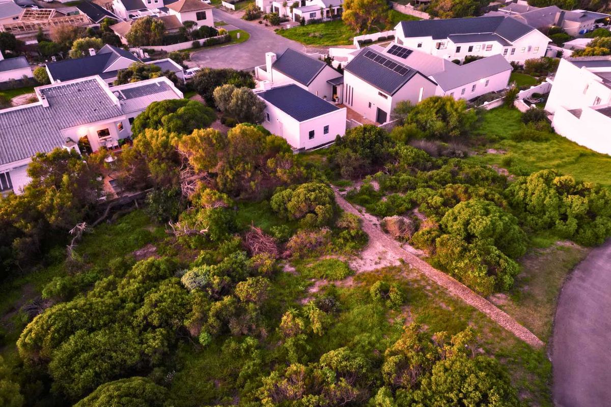 Where Fynbos, Mountain and Sea Write the Story! - Photo 3