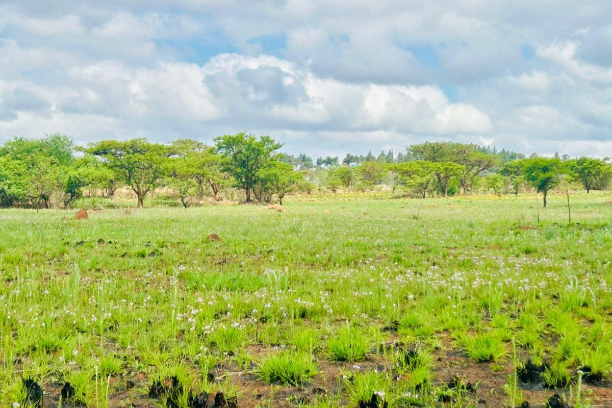 Vacant site for sale in Vryheid - Photo 4