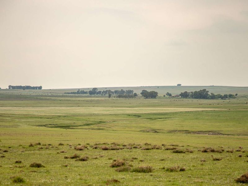 A RARE HOSPITALITY INVESTMENT-FARM WITH WEDDING VENUE, BAR, GUESTHOUSE - ALL-IN-ONE - Photo 3