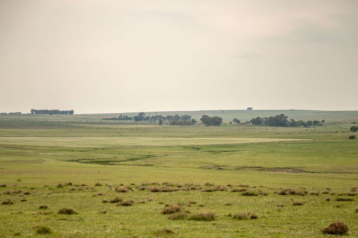 A RARE HOSPITALITY INVESTMENT-FARM WITH WEDDING VENUE, BAR, GUESTHOUSE - ALL-IN-ONE - Photo 3