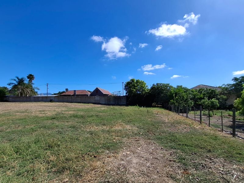 Dream Big: Subdividable Plot in Historic Heidelberg - Photo 6