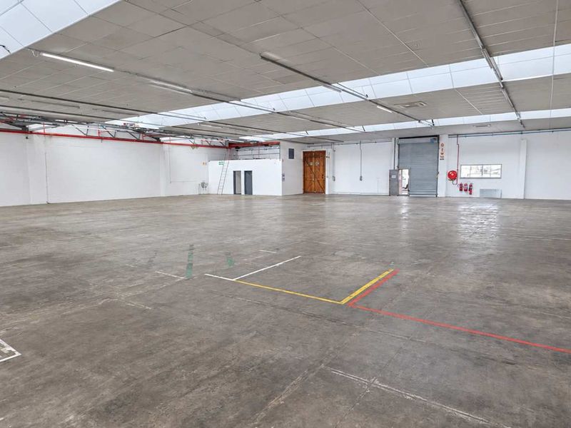 Spacious industrial warehouse unit featuring polished concrete flooring, high ceilings with integrated skylights, and a large roller shutter door for easy access.
