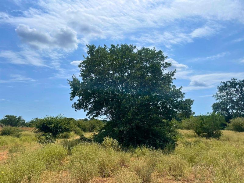 Riverside Stand in Elephant Rock Eco Estate - Photo 6