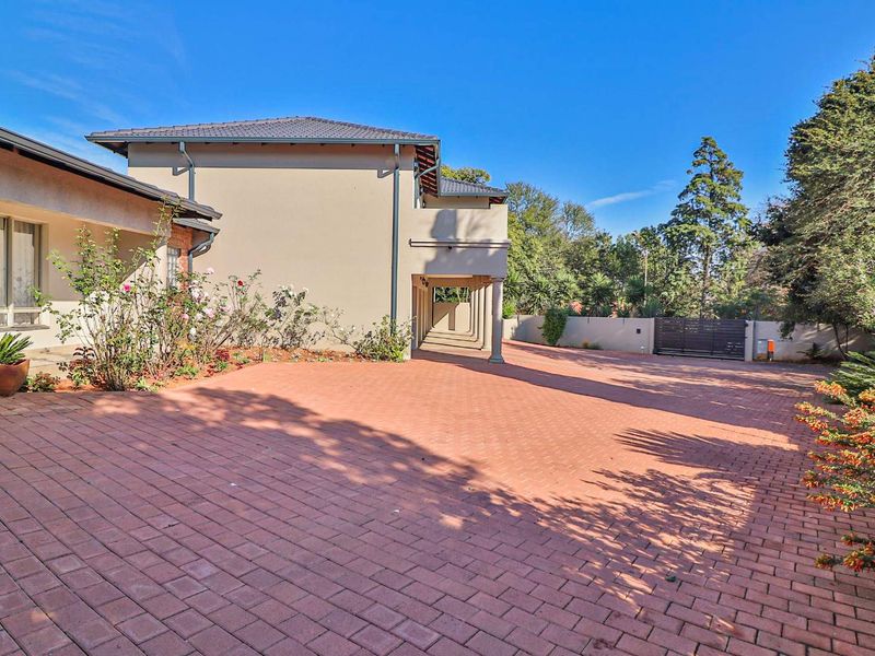 4 FOR THE PRICE OF 1  PLUS A STAND - Photo 3