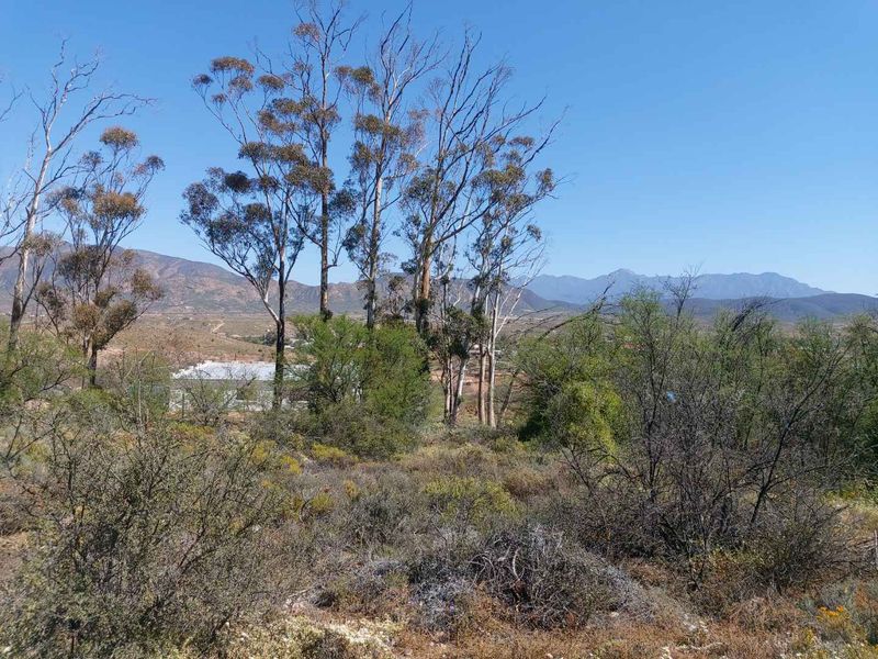 A scenic view of the natural landscape featuring native trees and distant mountain ranges, showcasing the property's rural setting.
