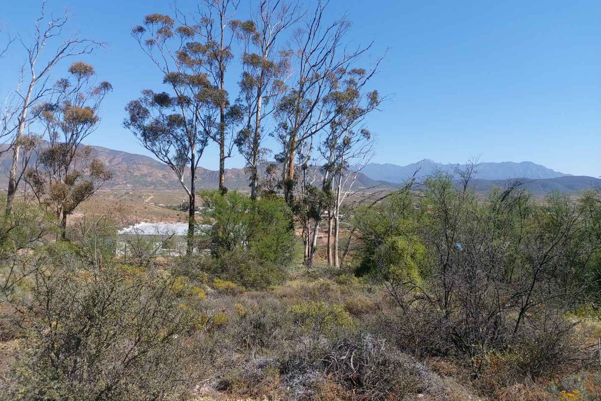 A scenic view of the natural landscape featuring native trees and distant mountain ranges, showcasing the property's rural setting.