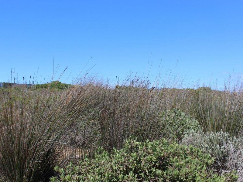 Bosbokduin Bliss - Photo 7