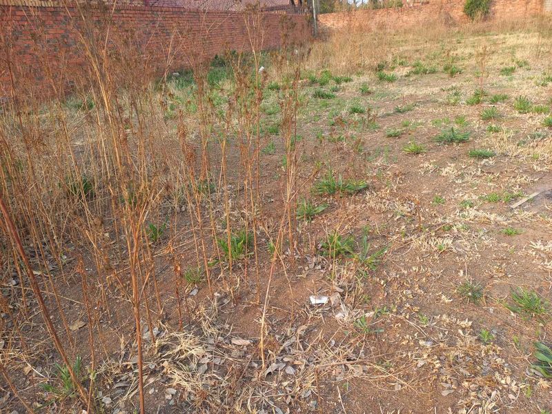 Build your Dream Home - Photo 2