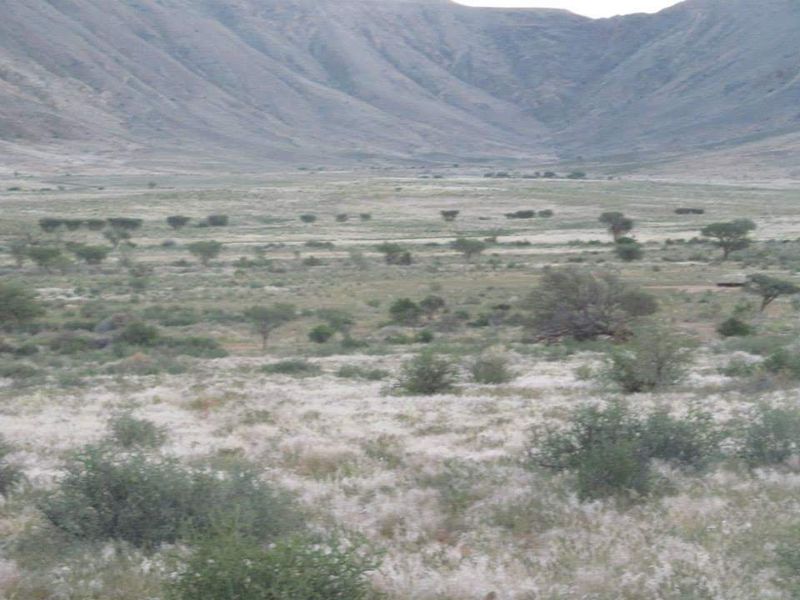 GORGEOUS FARM FOR SALE IN THE SOUTH OF NAMIBIA - KARRAS REGION - Photo 6