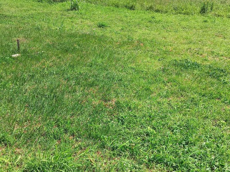 Prime peace of Land for Sale - Photo 8