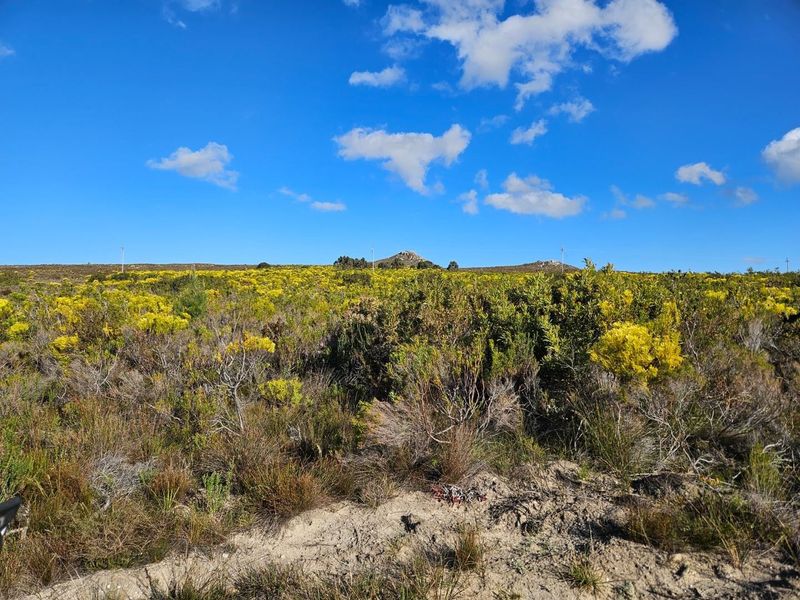 A Dream Come True - Photo 2