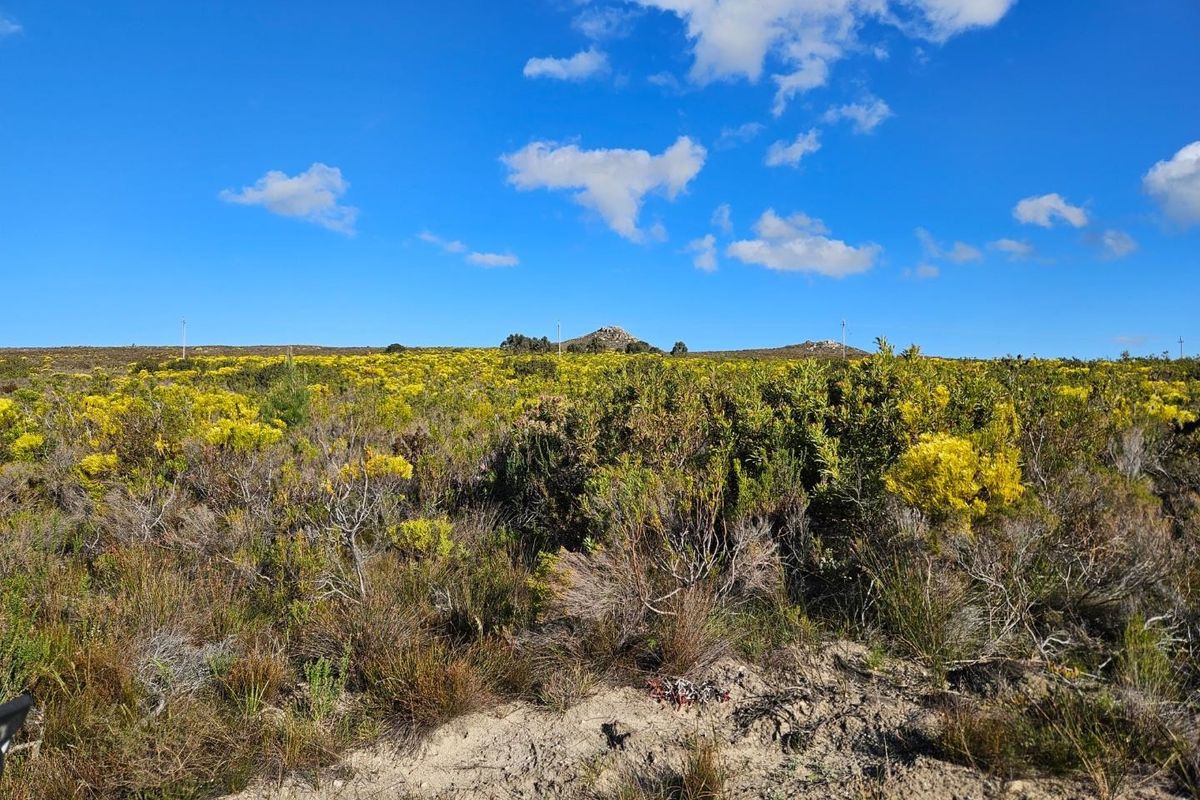 A Dream Come True - Photo 2