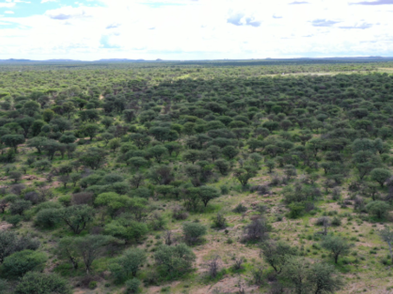 Beautiful Plot available, 15km North of Okahandja - Photo 5