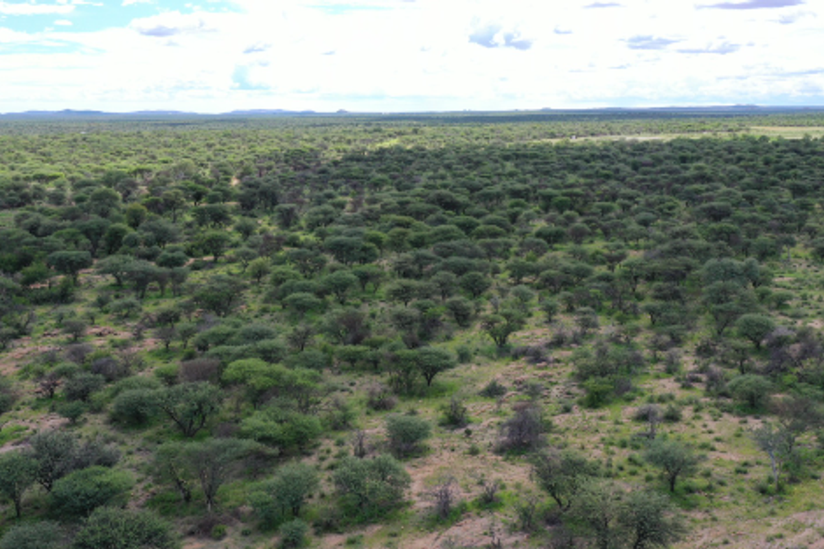 Beautiful Plot available, 15km North of Okahandja - Photo 5