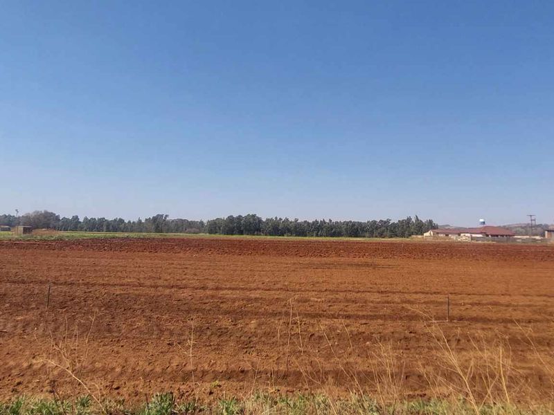 Thriving Vegetable Farm in Eikenhof for sale - Photo 6