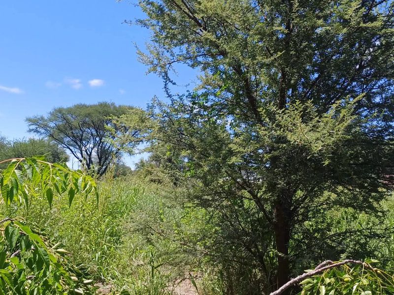 Build your dream home in the heart of nature! ✨ This beautiful vacant erf is situated in the sought-after Okakango River Estate, approximately 3km North-East of - Photo 6