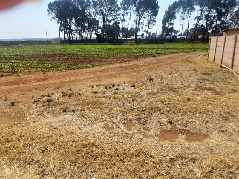 Prime 17.8 Hectare Vegetable Farm for Sale in Eikenhof Johannesburg - Photo 9
