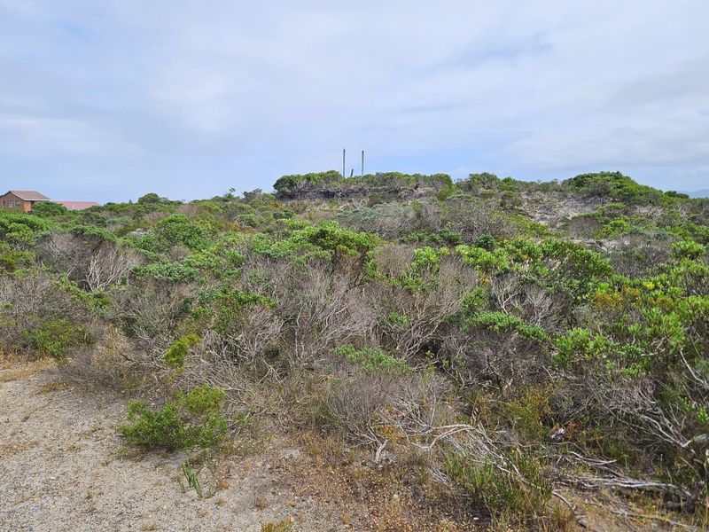 Exceptional Vacant Land for Sale in Pearly Beach - Photo 8