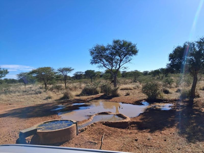 A natural landscape view on the farm featuring an earthen water hole and a concrete livestock water trough.
