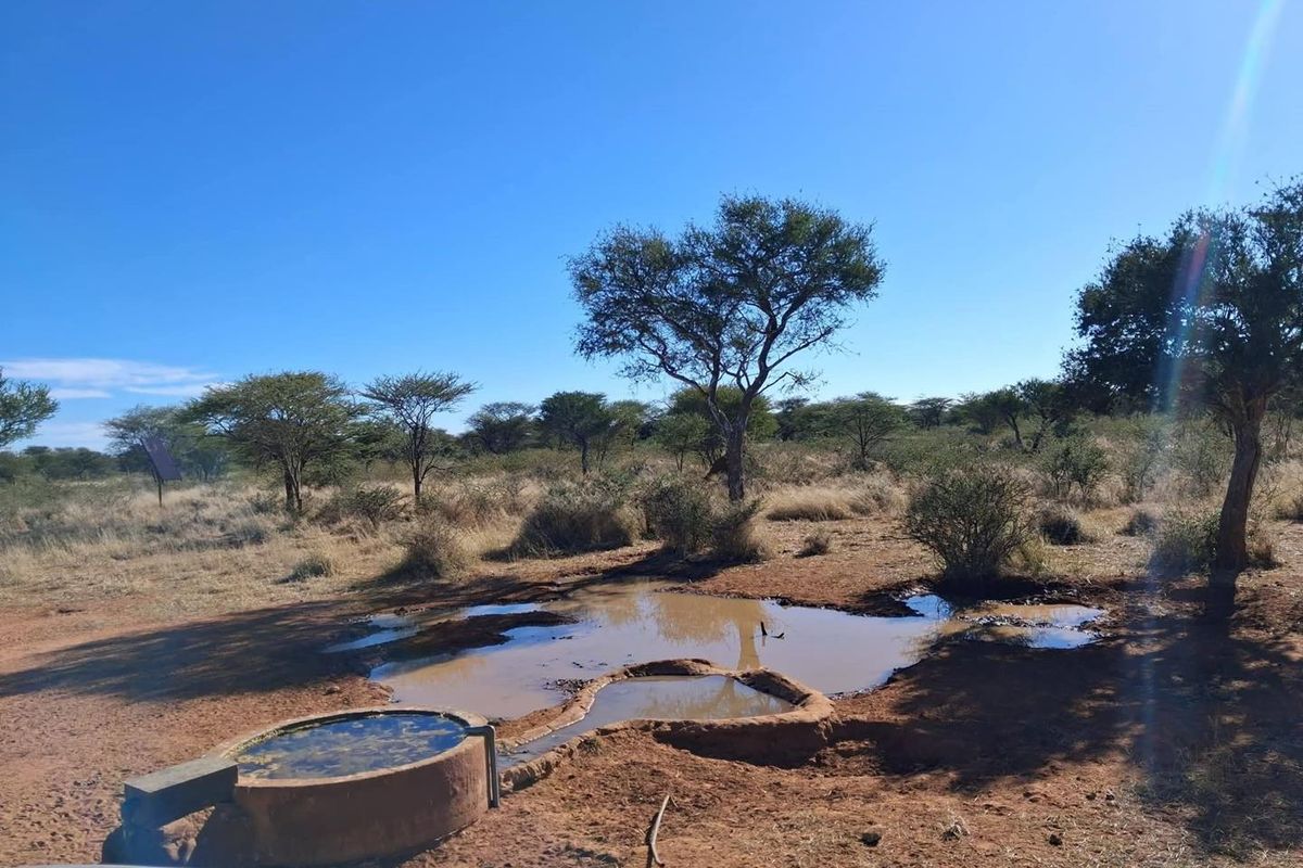 A natural landscape view on the farm featuring an earthen water hole and a concrete livestock water trough.