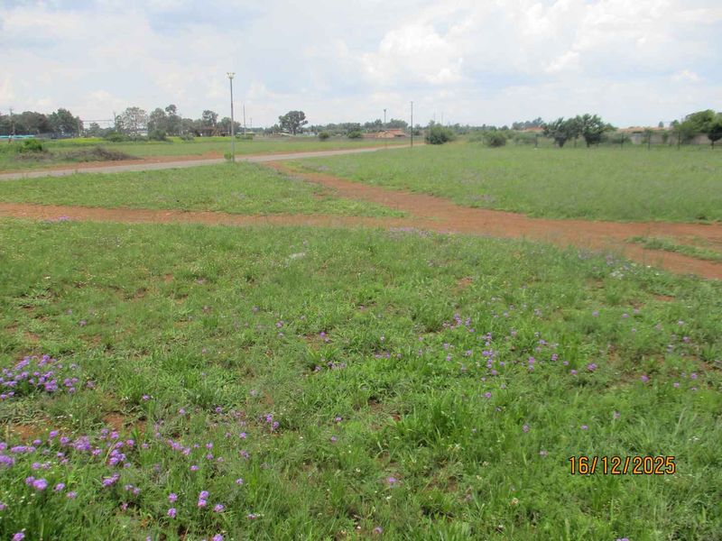 Enjoy the tranquility and peace of Henley - Photo 3