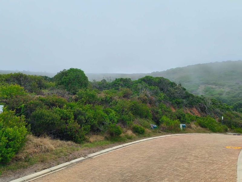 Exclusive Oppertunity - 1813m2 Vacant Land in Paradise Coast Eco Estate - Photo 4