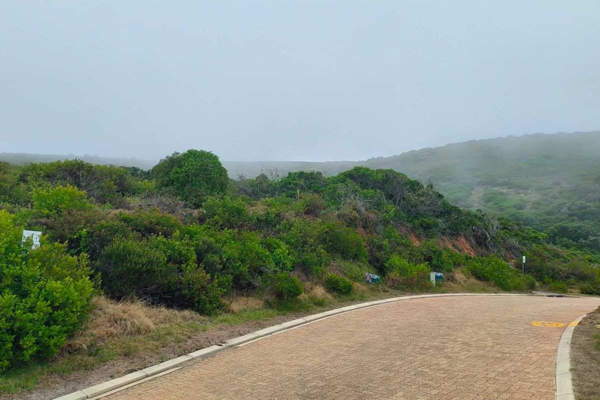 Exclusive Oppertunity - 1813m2 Vacant Land in Paradise Coast Eco Estate - Photo 4