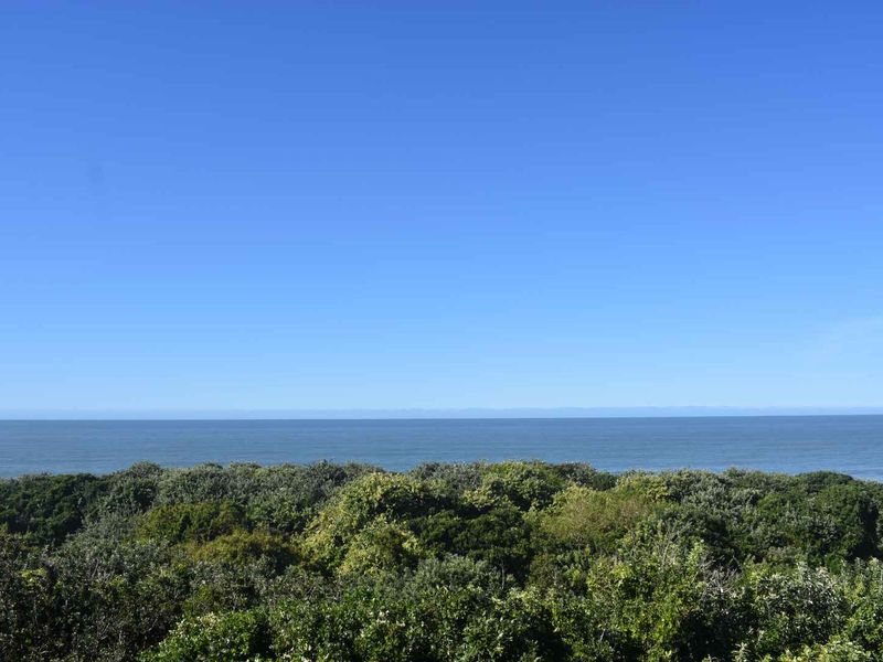 Looking For A House on the Beach! - Photo 7