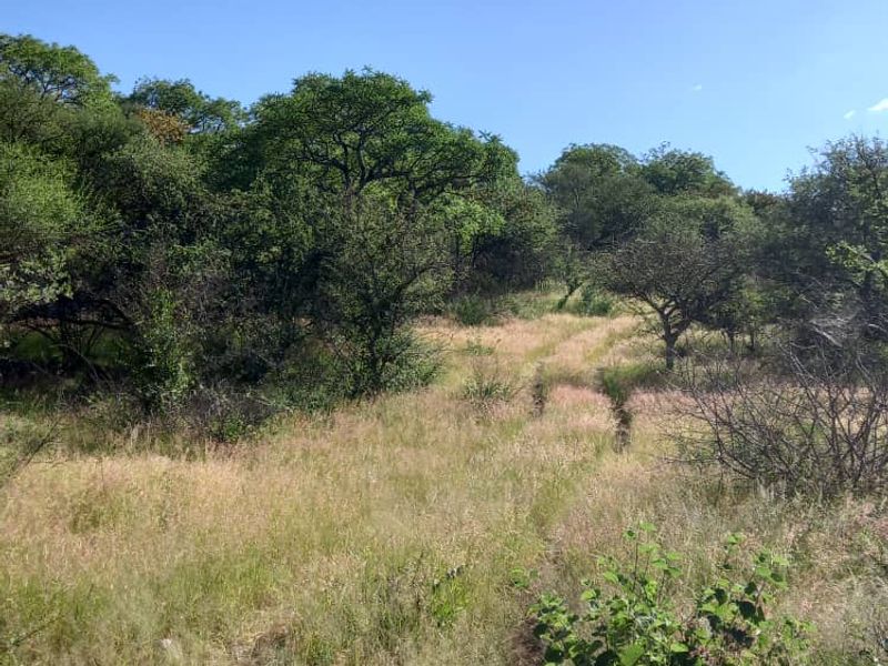 Outjo, 701 Ha Smallholding is for Sale - Photo 6