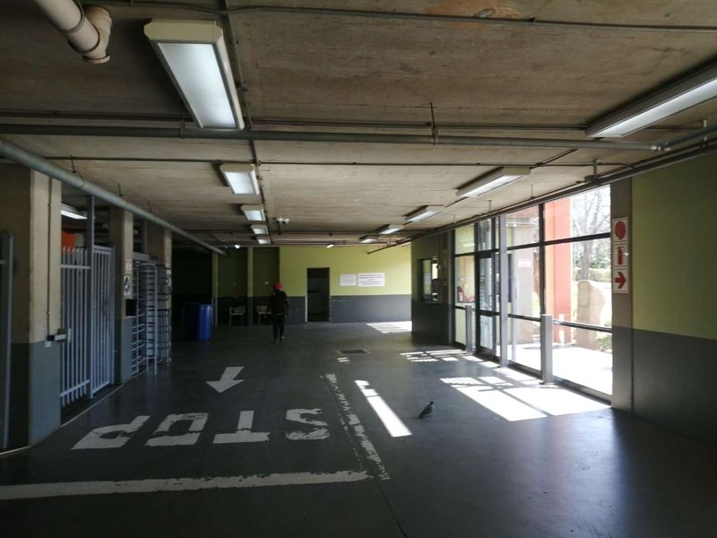 Room to rent in Hatfield - Photo 4