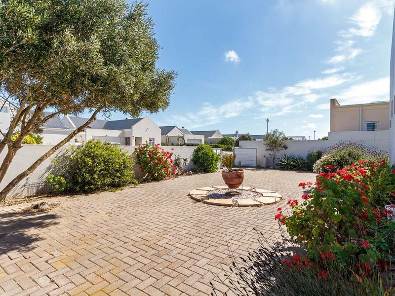 A well-maintained paved rear courtyard area featuring established garden beds, mature trees, and secure boundary walls.