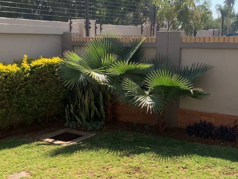 A private garden area featuring a manicured lawn, established palm landscaping, and a secure perimeter wall with integrated electric fencing.
