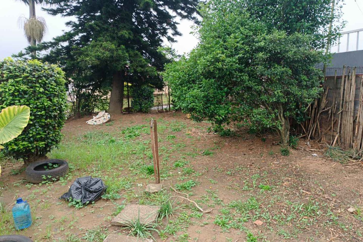 🏡 Charming 3-Bedroom Home for Rent – Northdale - Photo 3