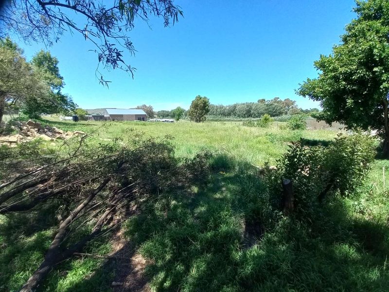 Business premises for the serious businessman. - Photo 2