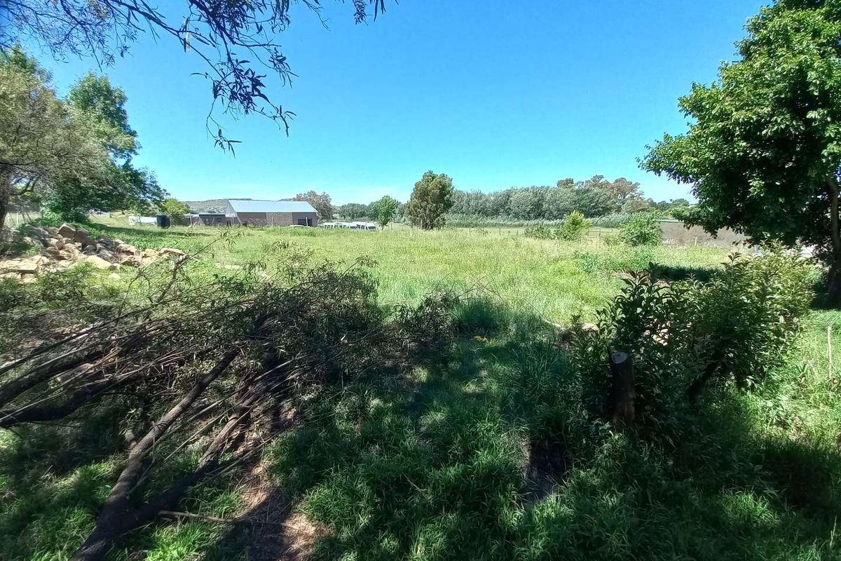 Business premises for the serious businessman. - Photo 2