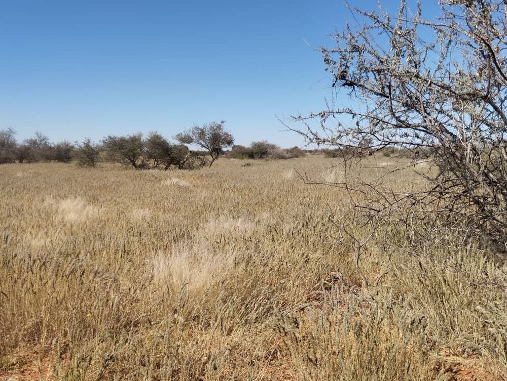 overview of farm land