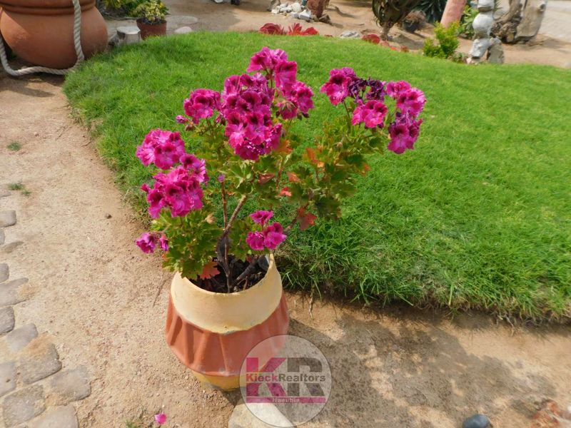🏡 Spacious 3-Bedroom Family Home Henties Bay - Photo 9