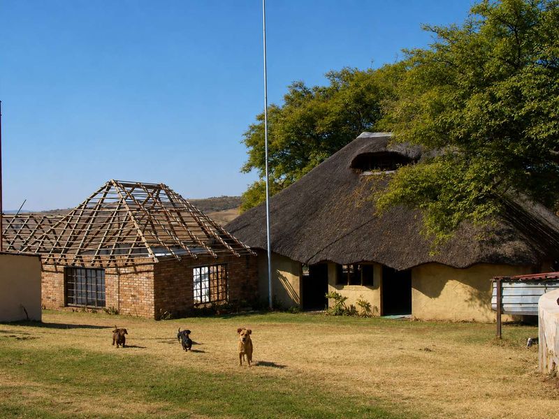 140 ha Farm with Mining Potential – 28 km from Witbank - Photo 8