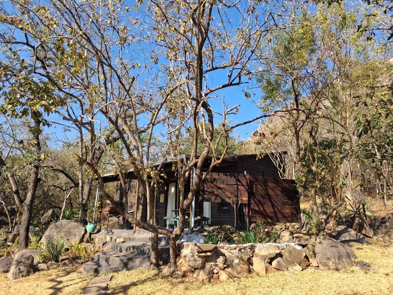 A rustic timber-clad cabin nestled in a natural, rocky landscape with mature trees and a stone retaining wall.